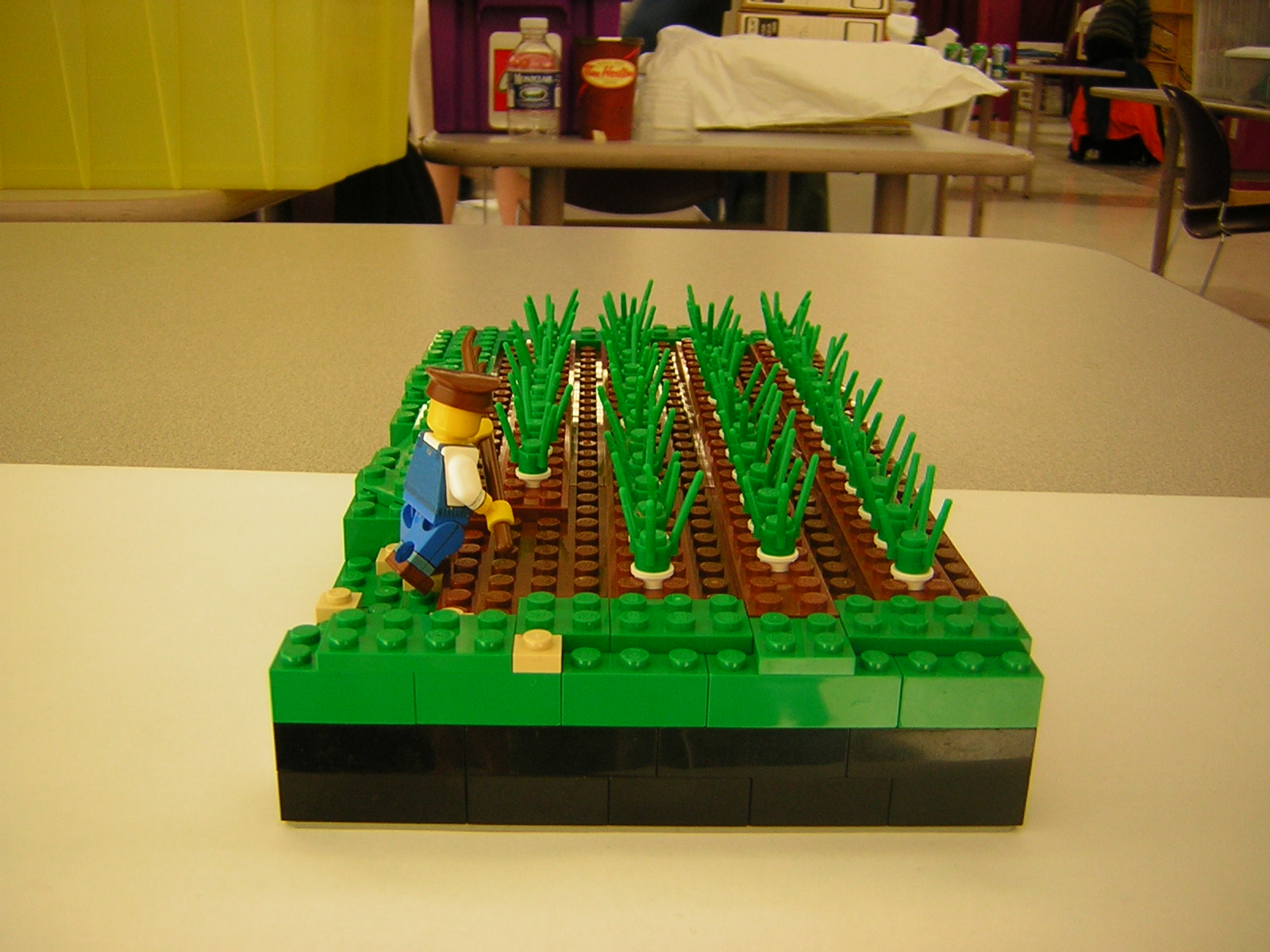dscn4960.jpg