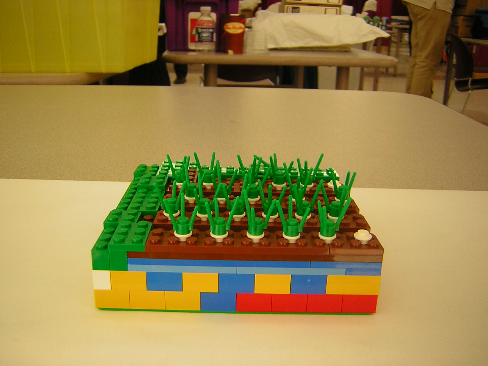 dscn4971.jpg