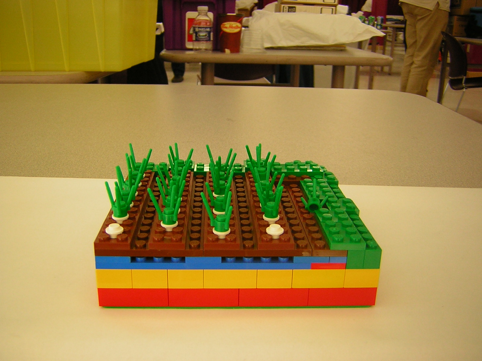 dscn4972.jpg