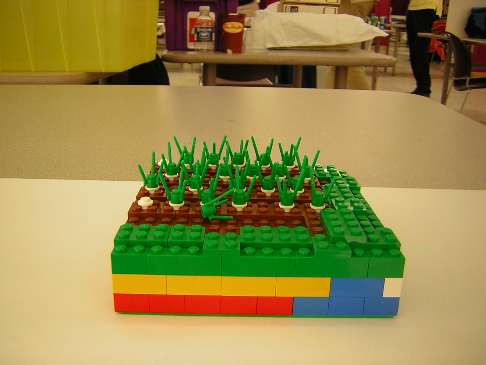 dscn4973.jpg