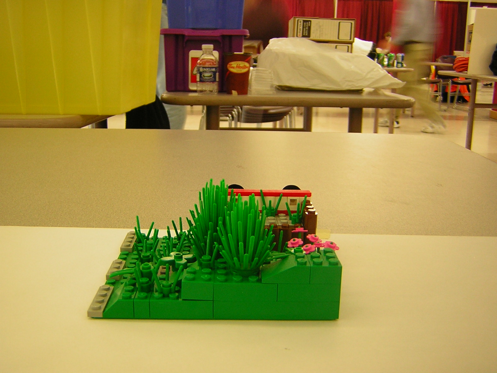 dscn4979.jpg