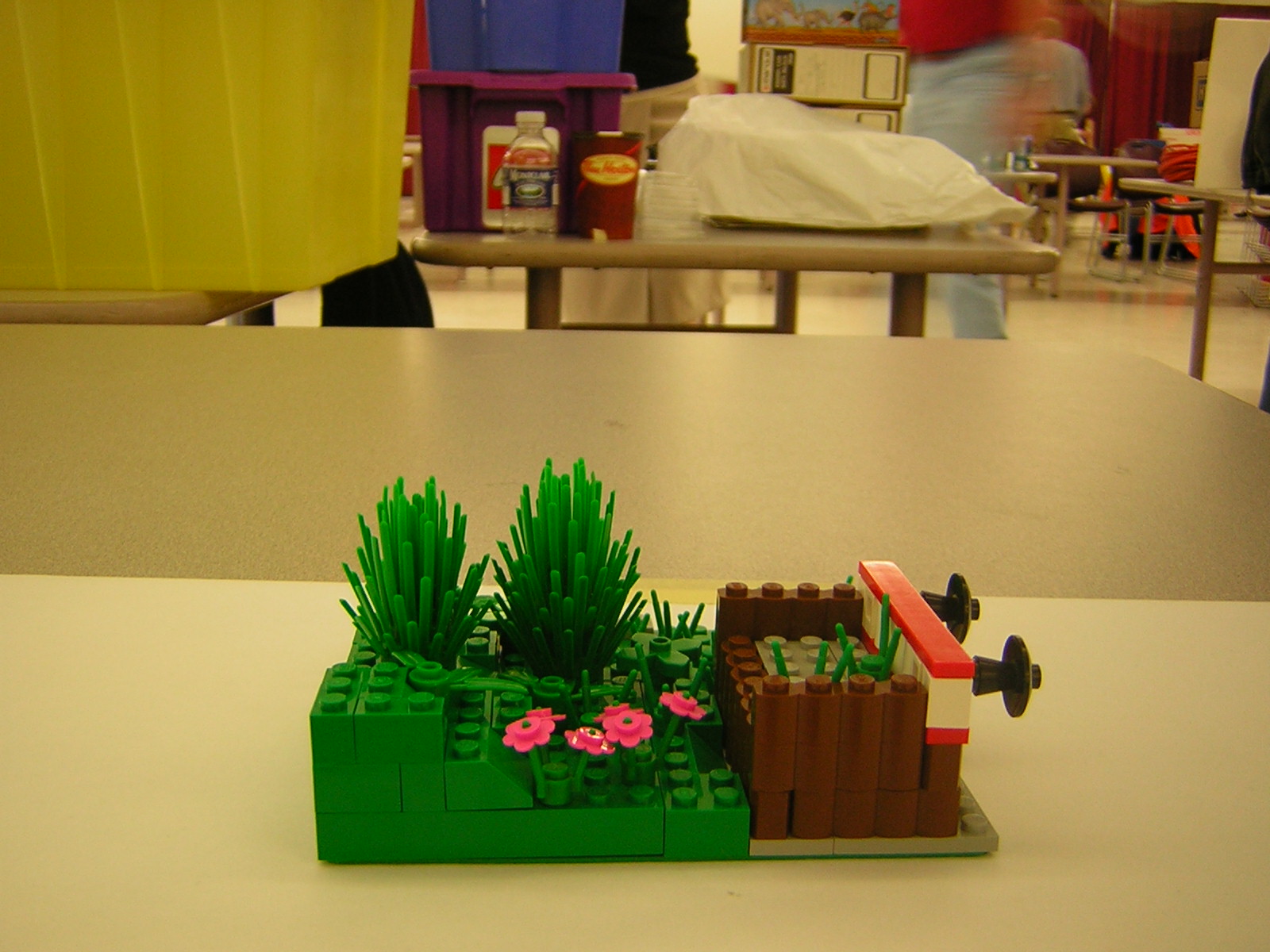 dscn4981.jpg