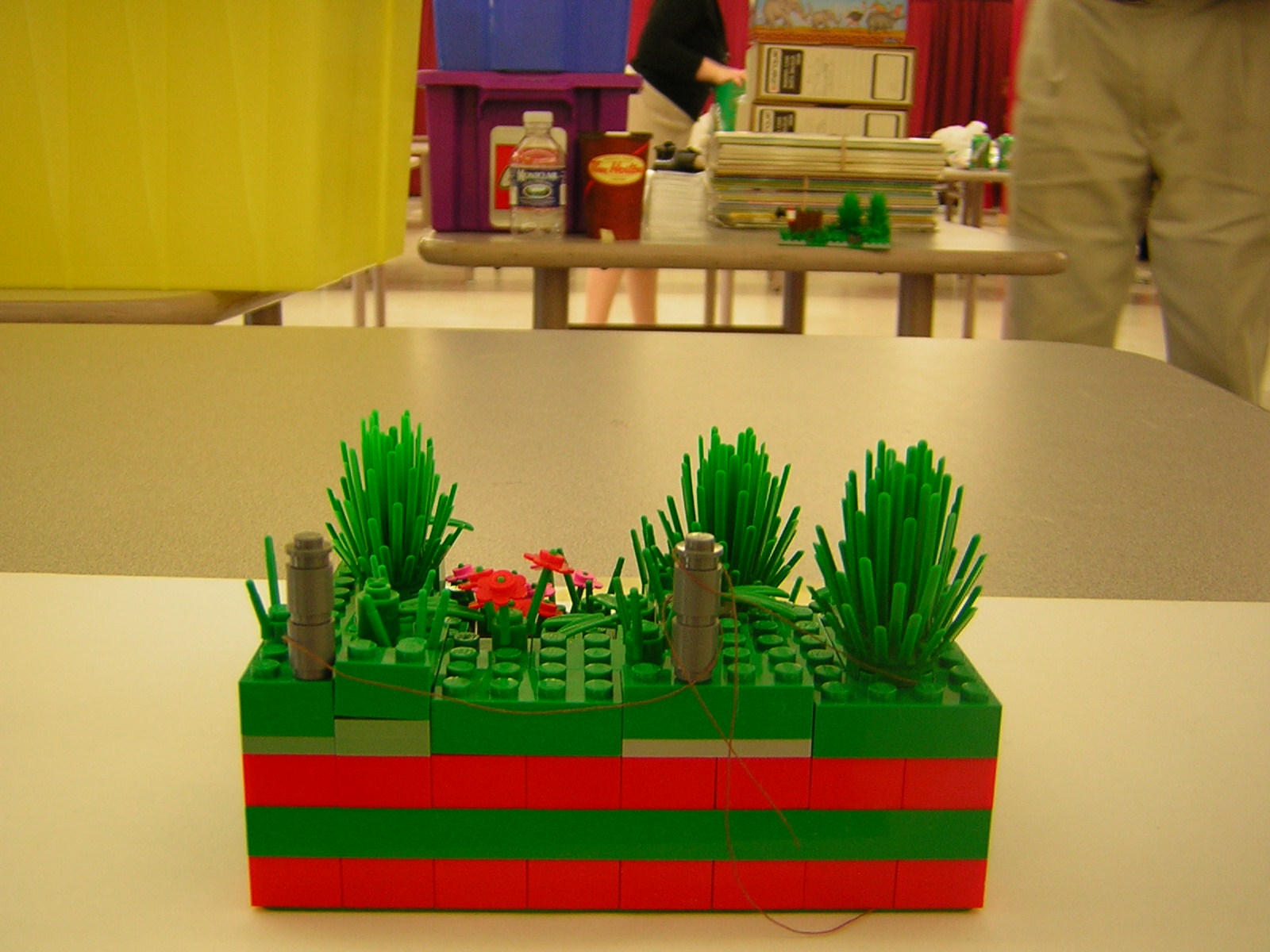 dscn4985.jpg