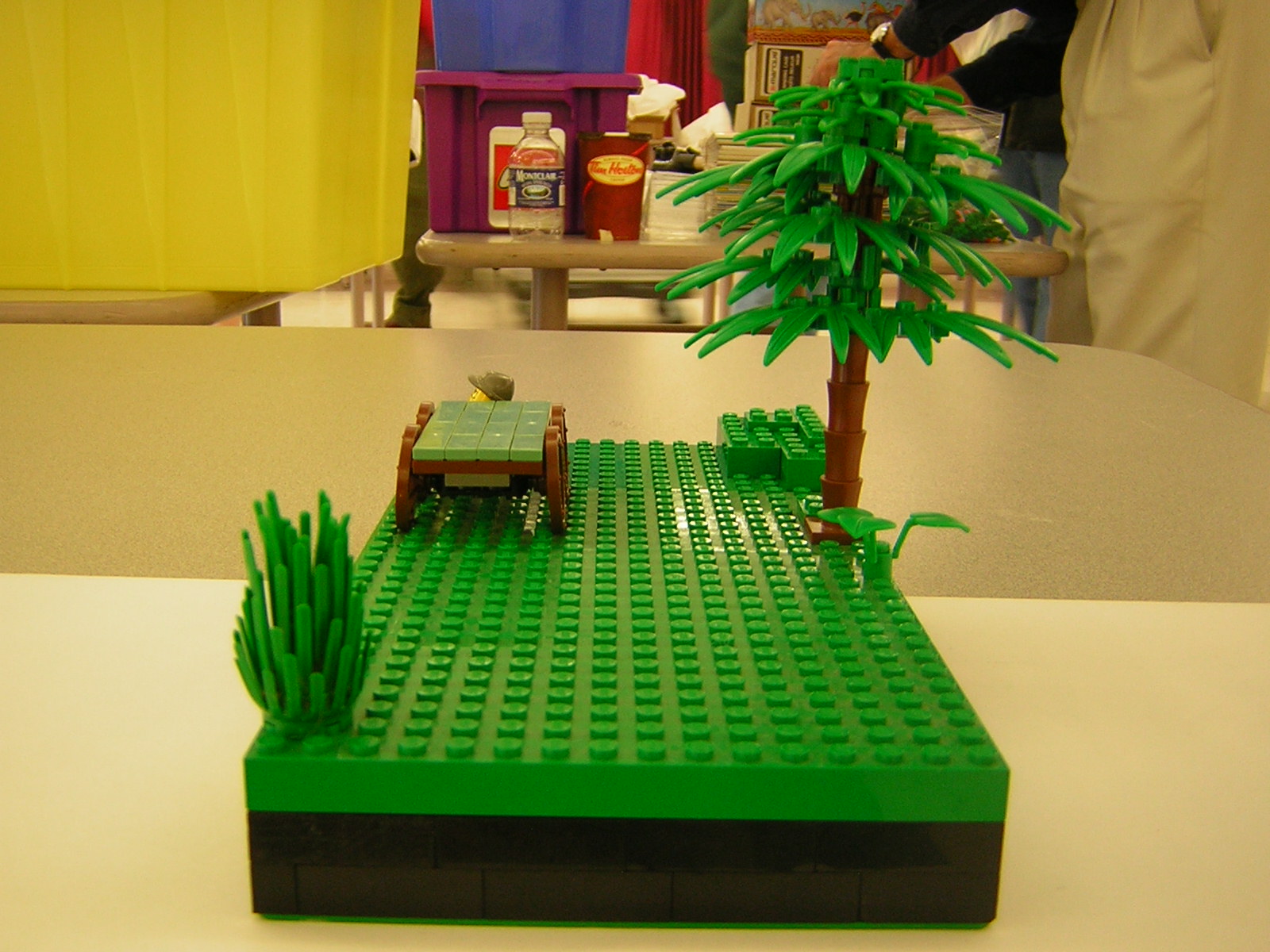 dscn4989.jpg