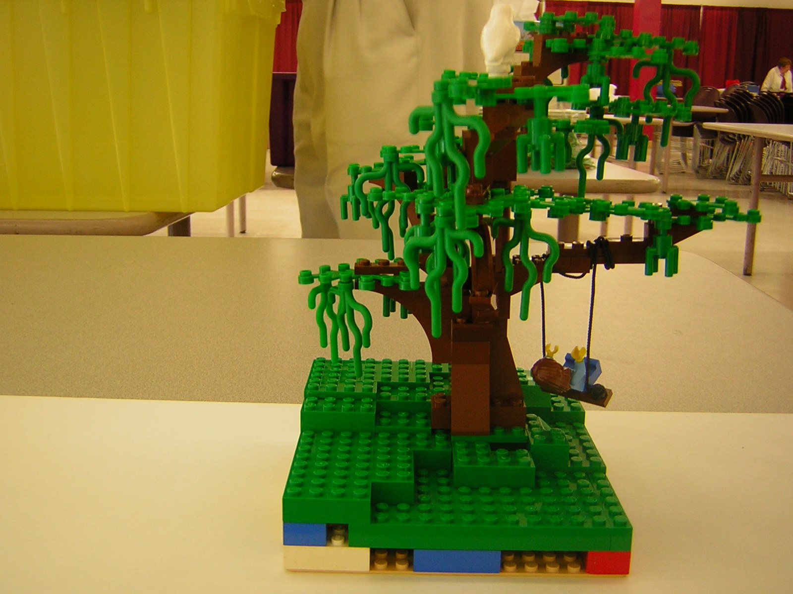dscn5003.jpg