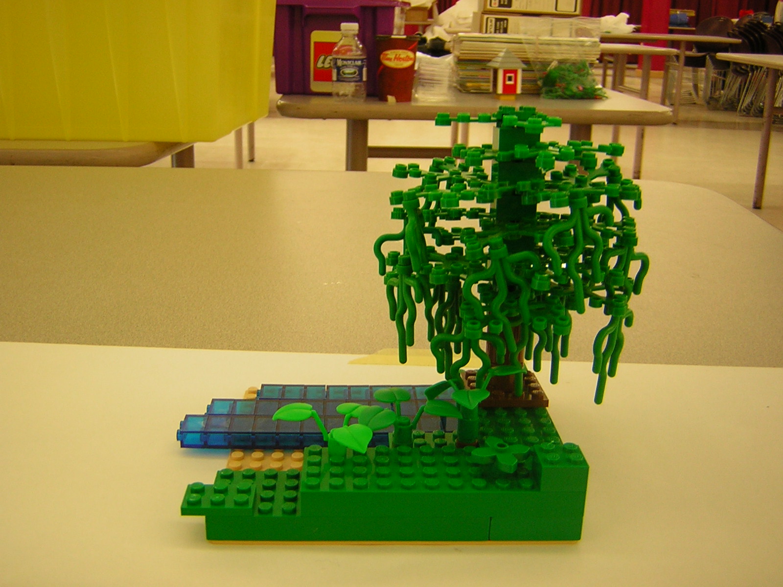 dscn5005.jpg