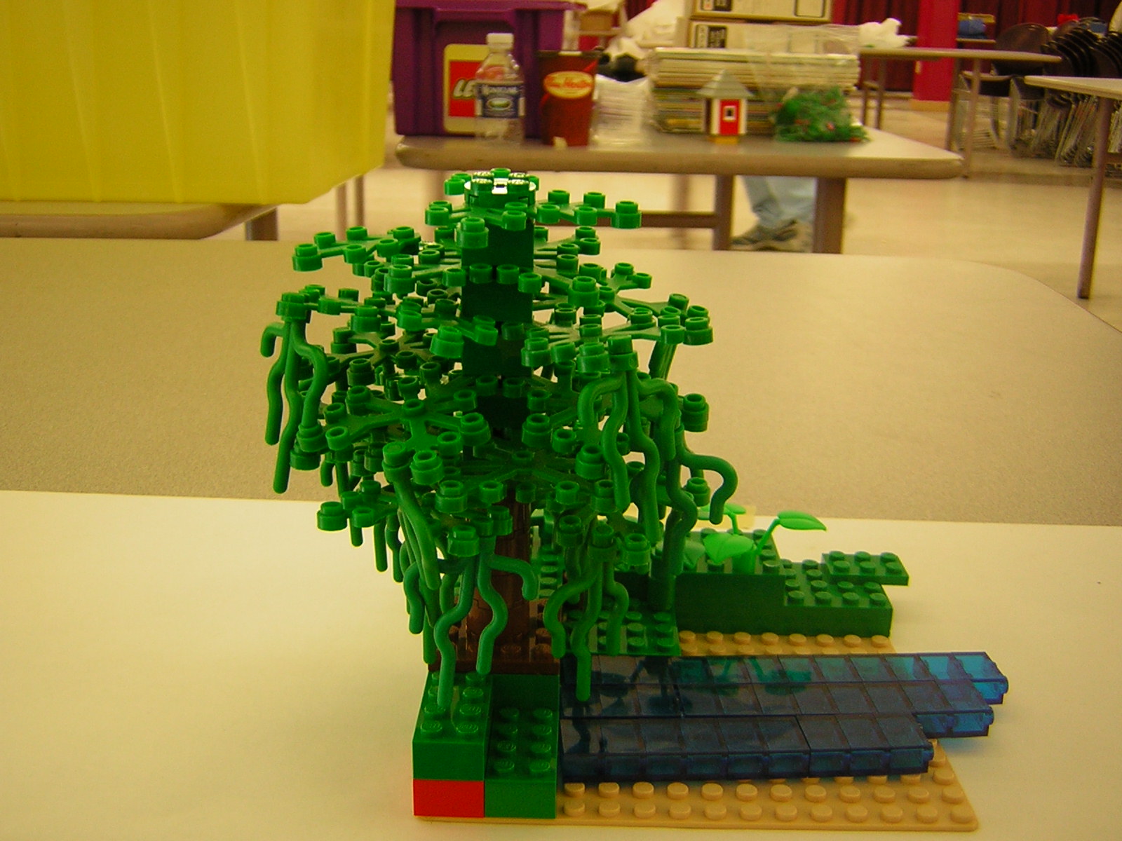 dscn5007.jpg