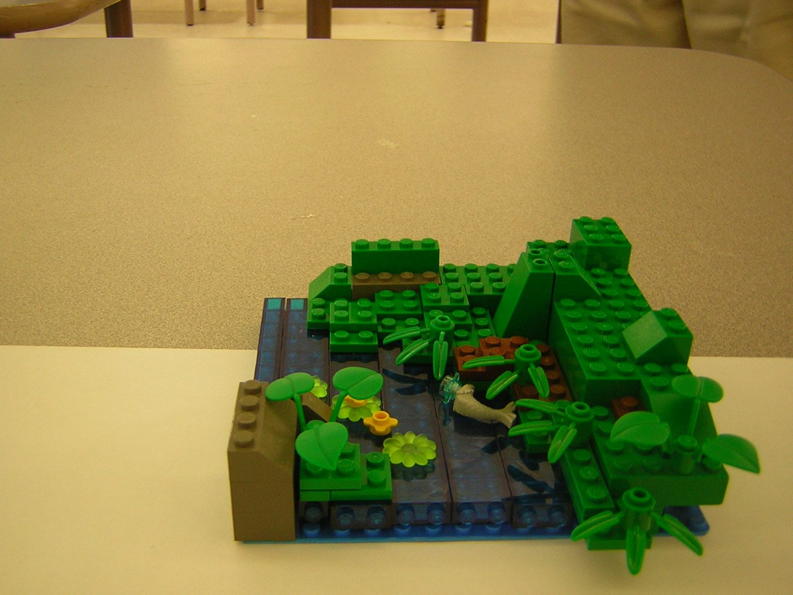dscn5017.jpg