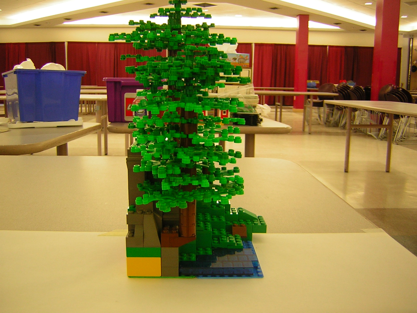 dscn5018.jpg