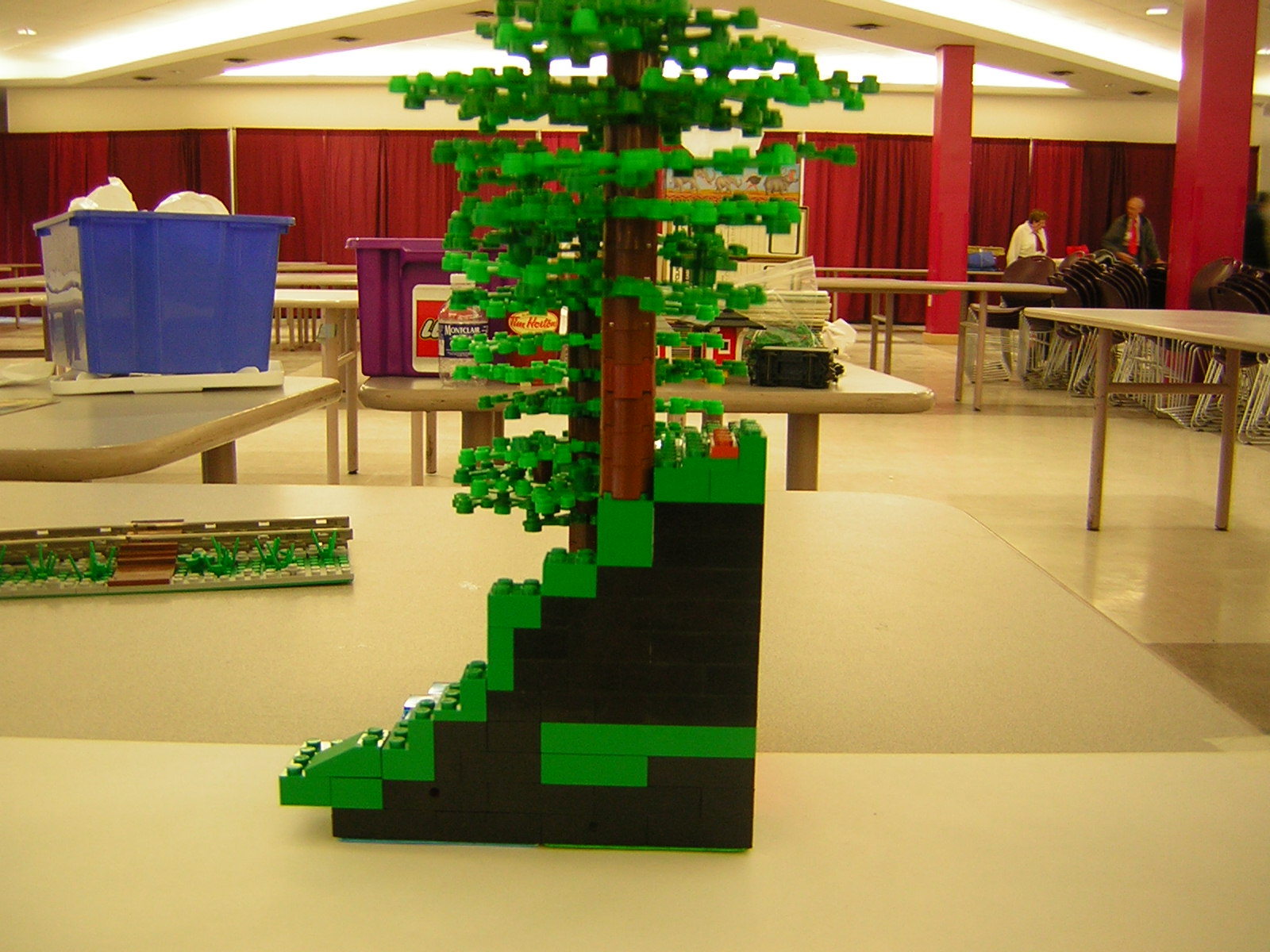 dscn5020.jpg