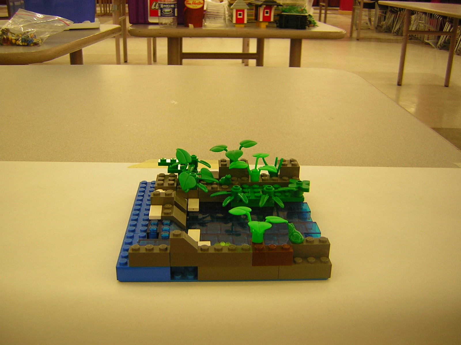 dscn5035.jpg