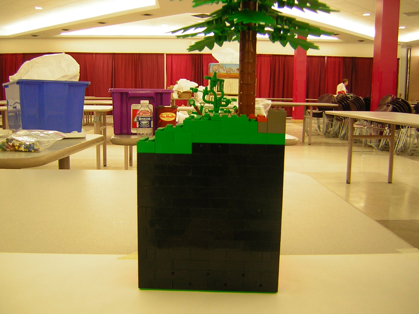 dscn5041.jpg