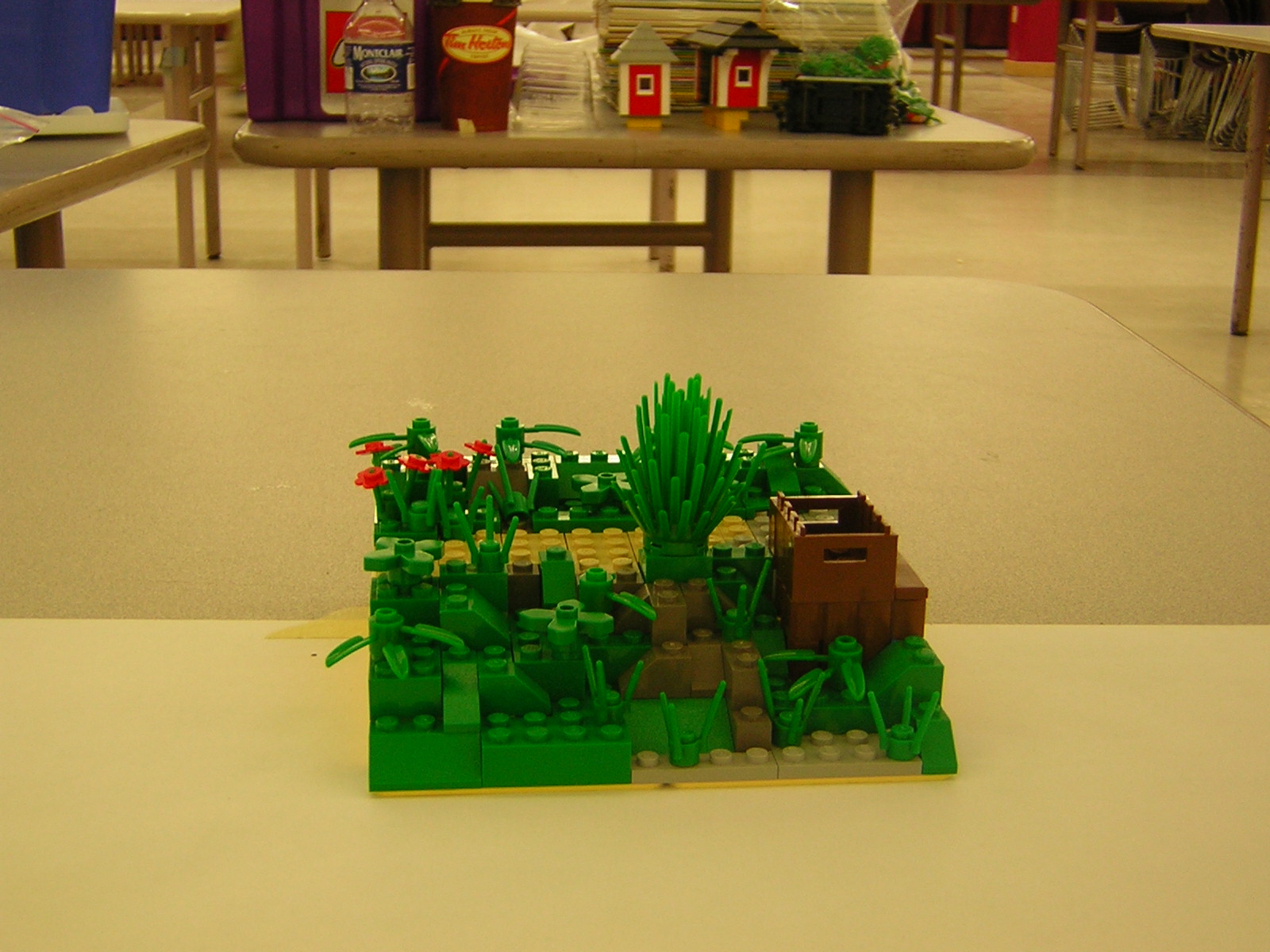 dscn5043.jpg