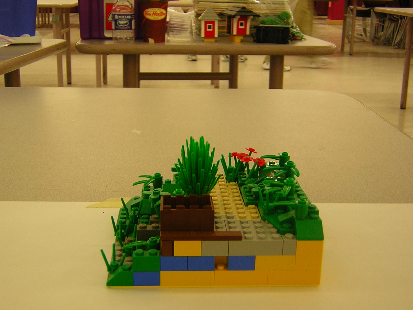 dscn5044.jpg