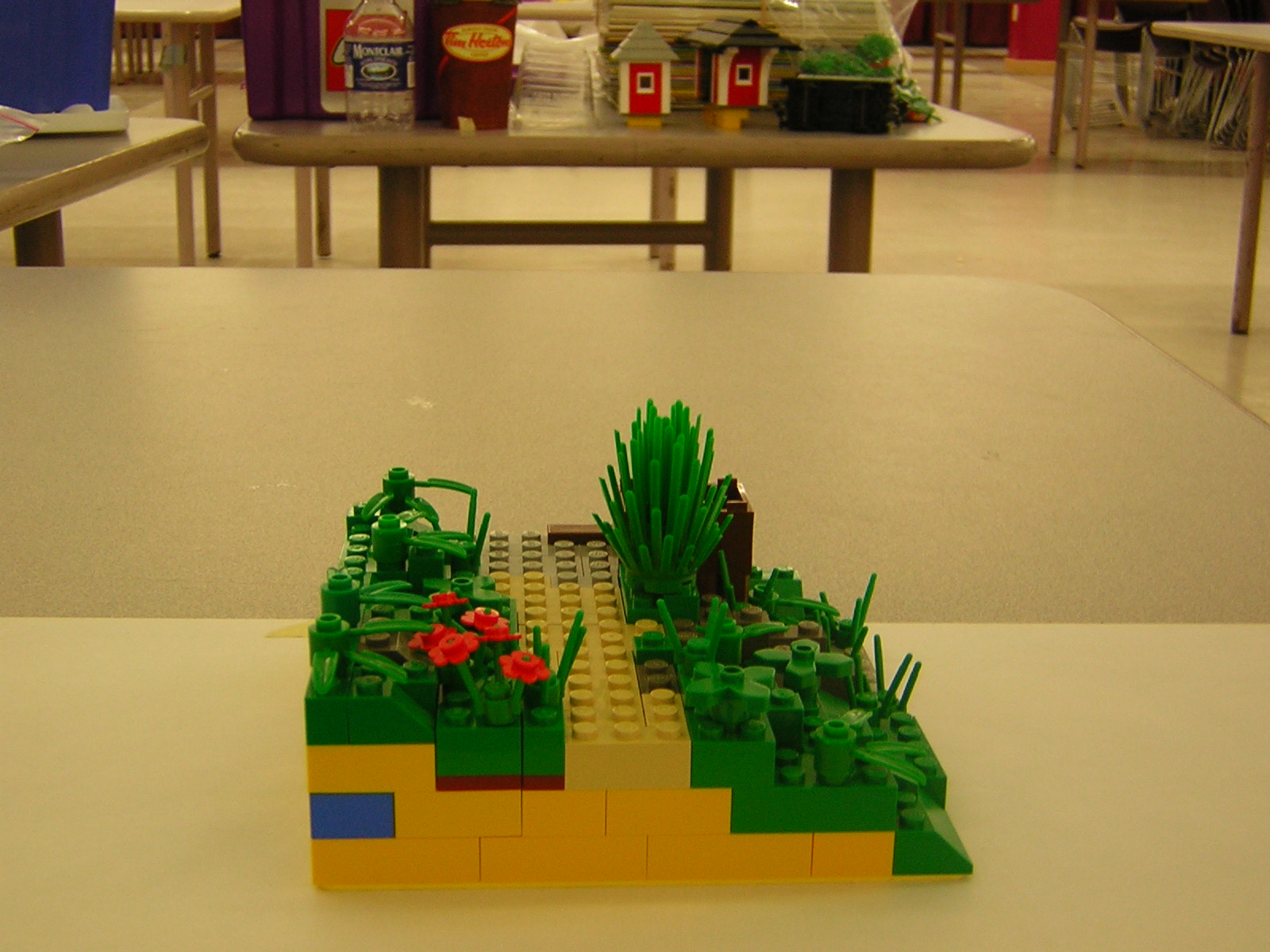 dscn5046.jpg