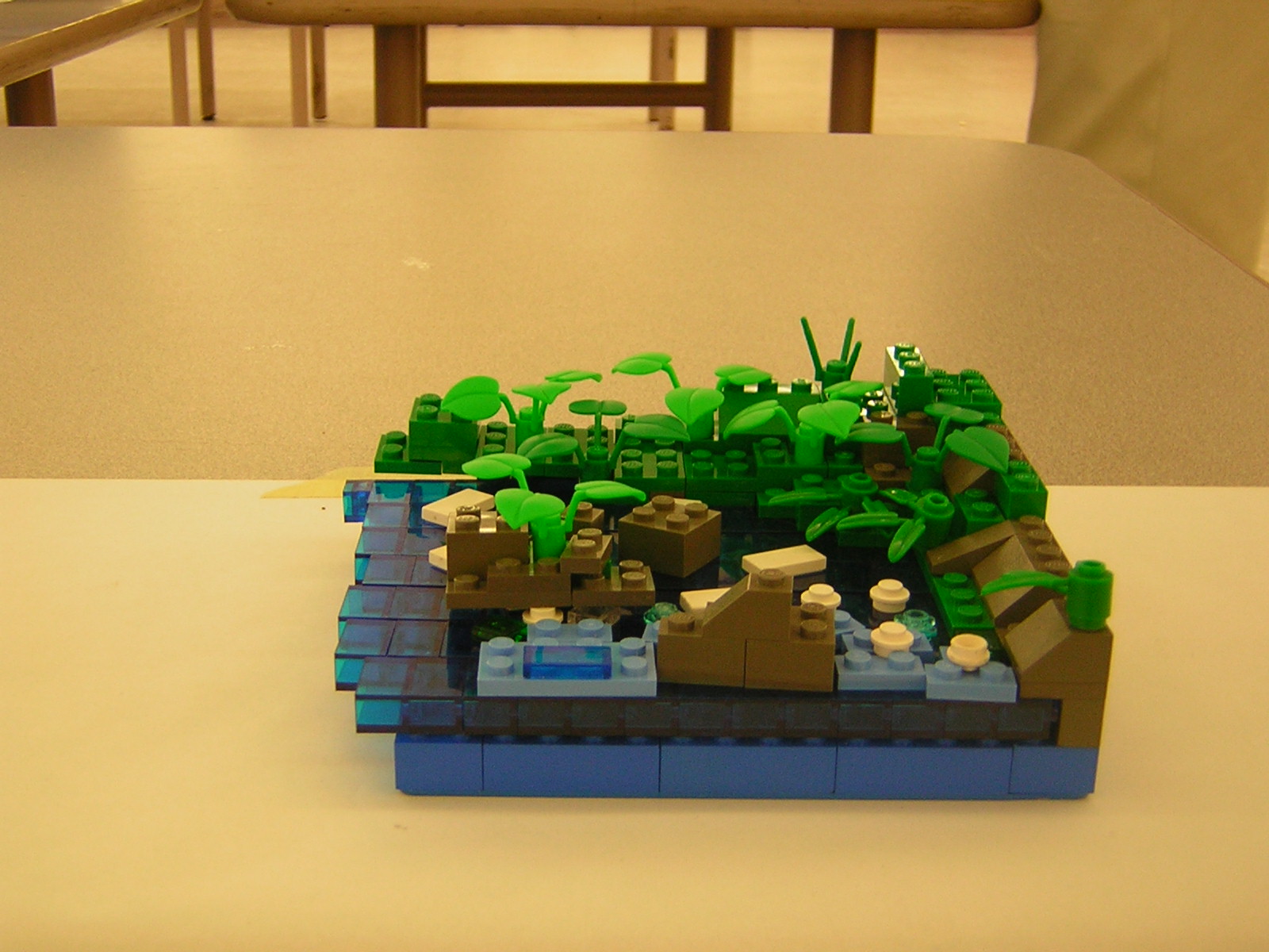 dscn5049.jpg