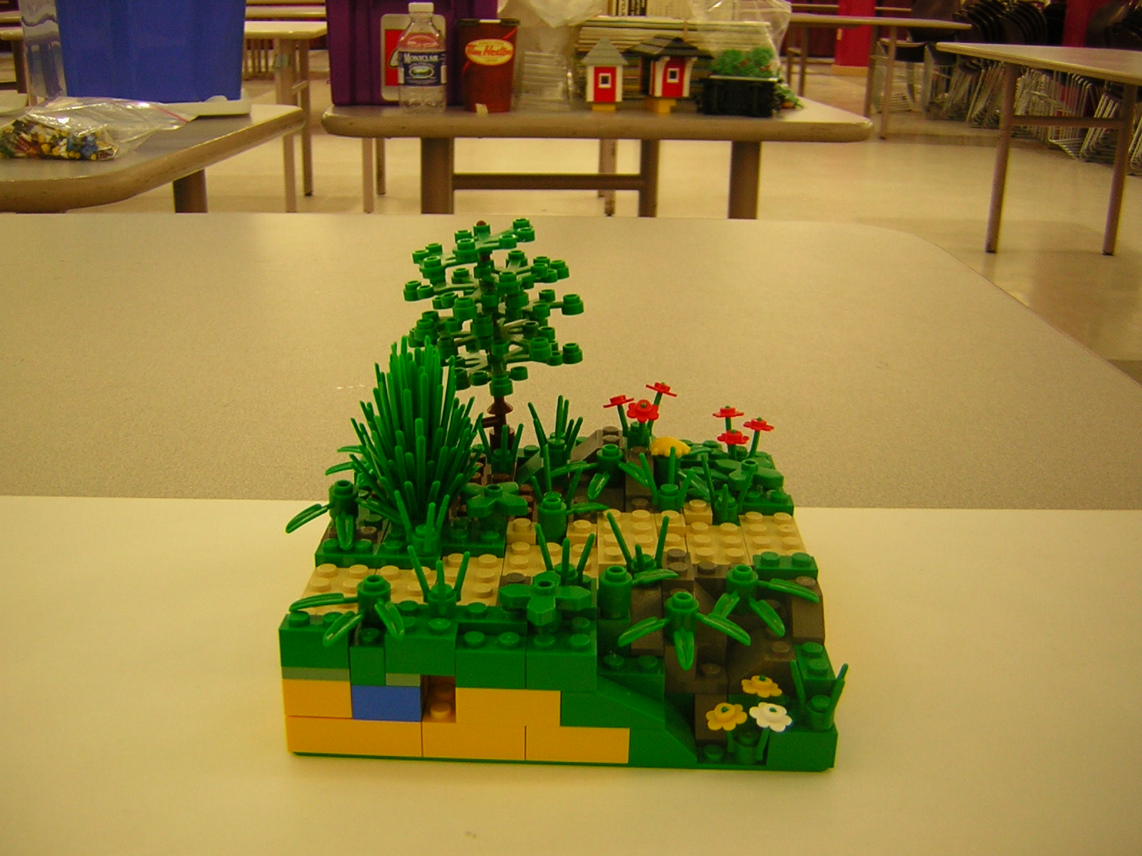 dscn5059.jpg