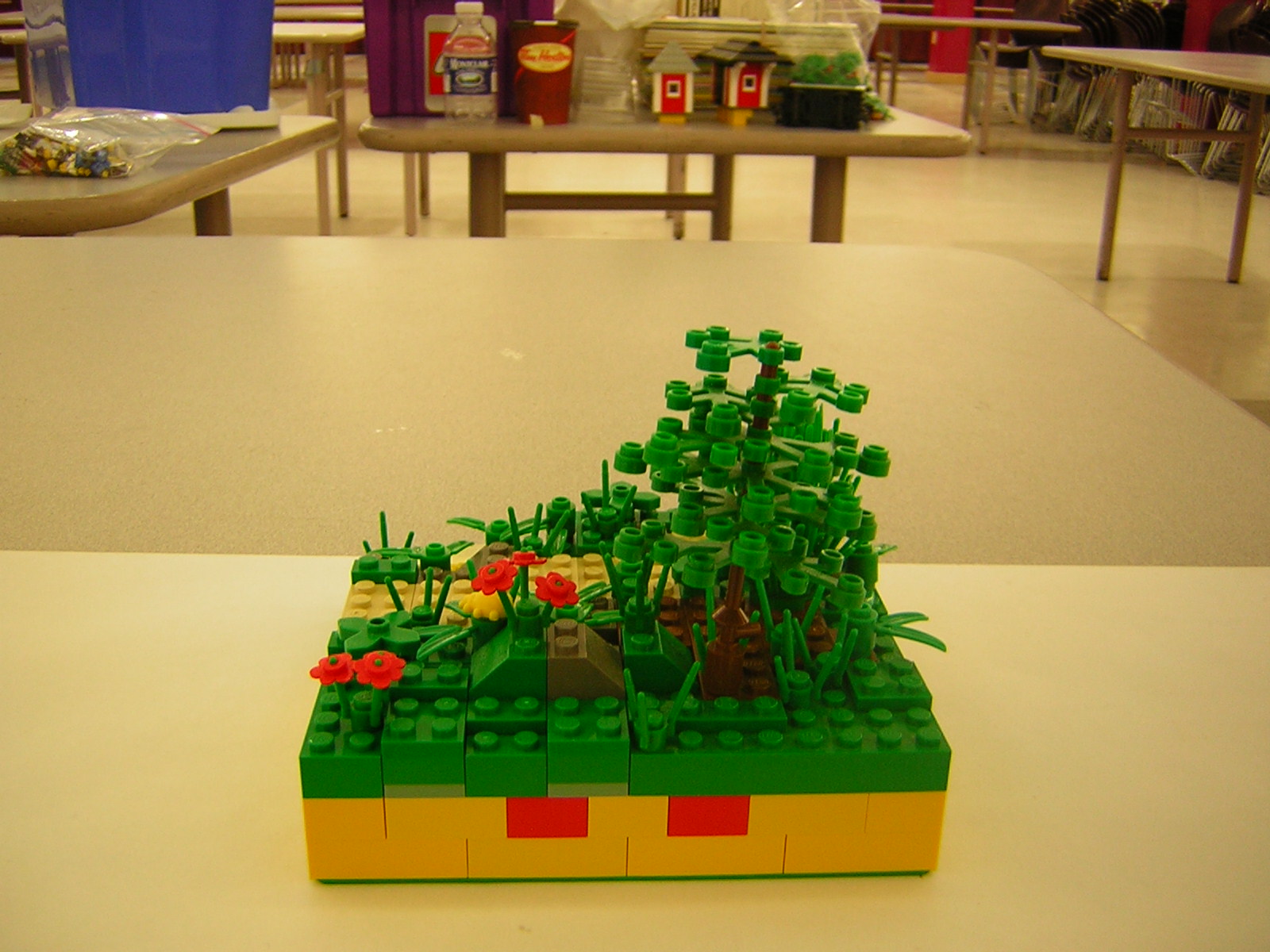 dscn5061.jpg