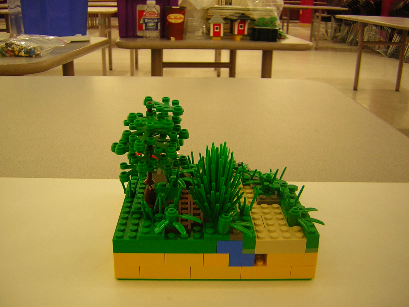 dscn5062.jpg