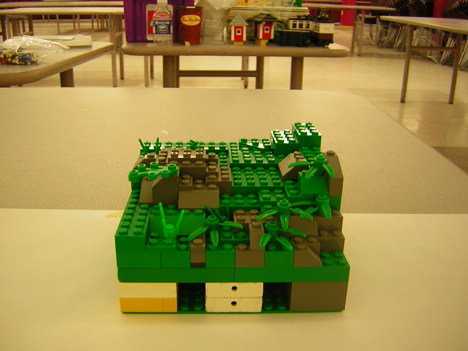 dscn5070.jpg