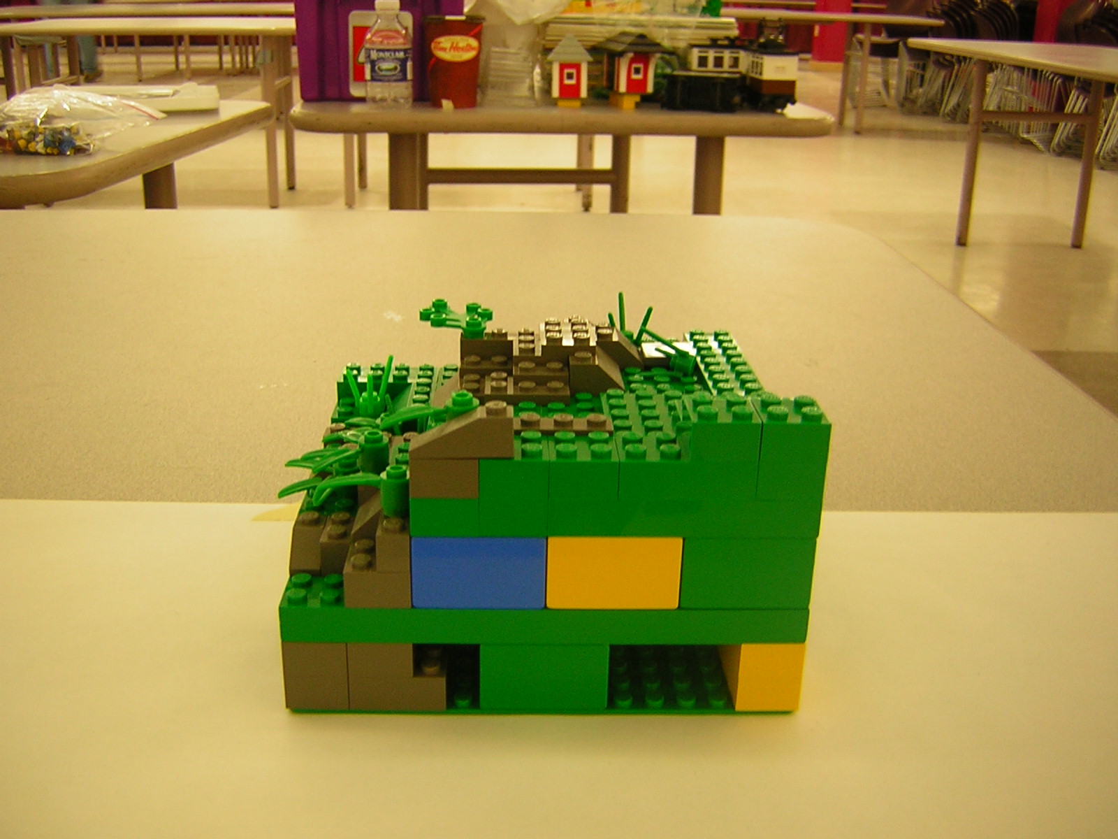 dscn5071.jpg