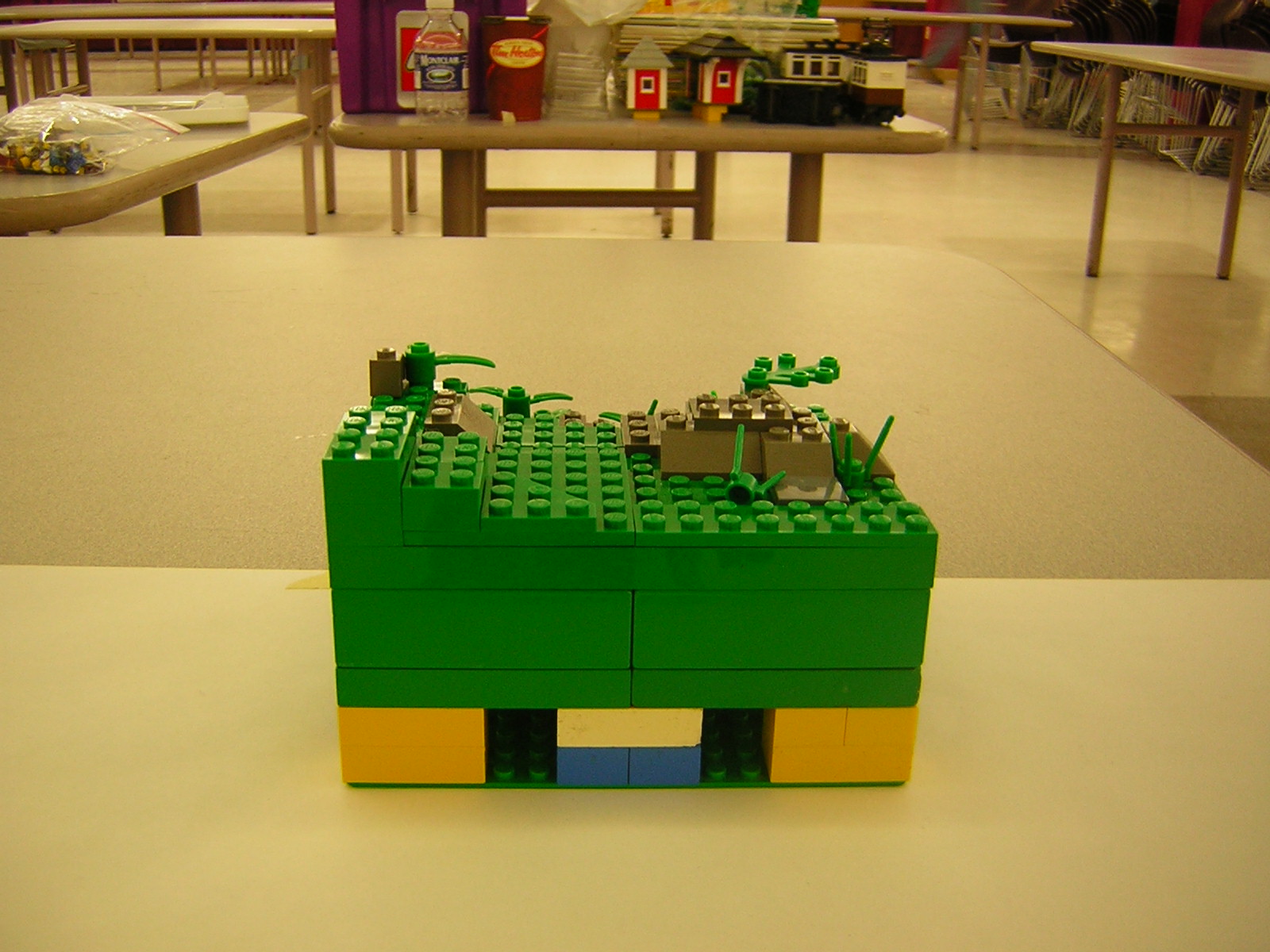 dscn5072.jpg