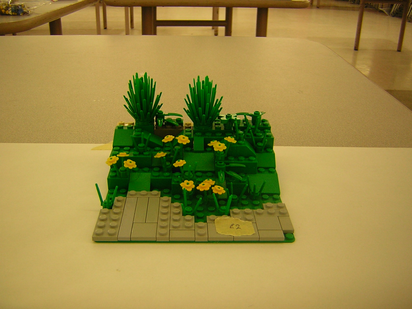 dscn5073.jpg