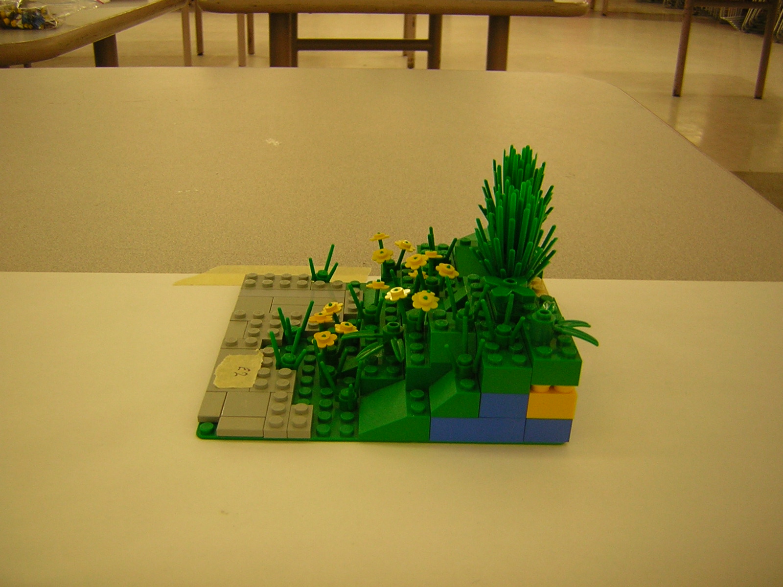dscn5074.jpg