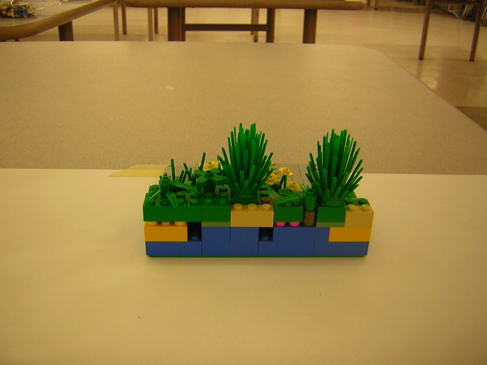 dscn5075.jpg