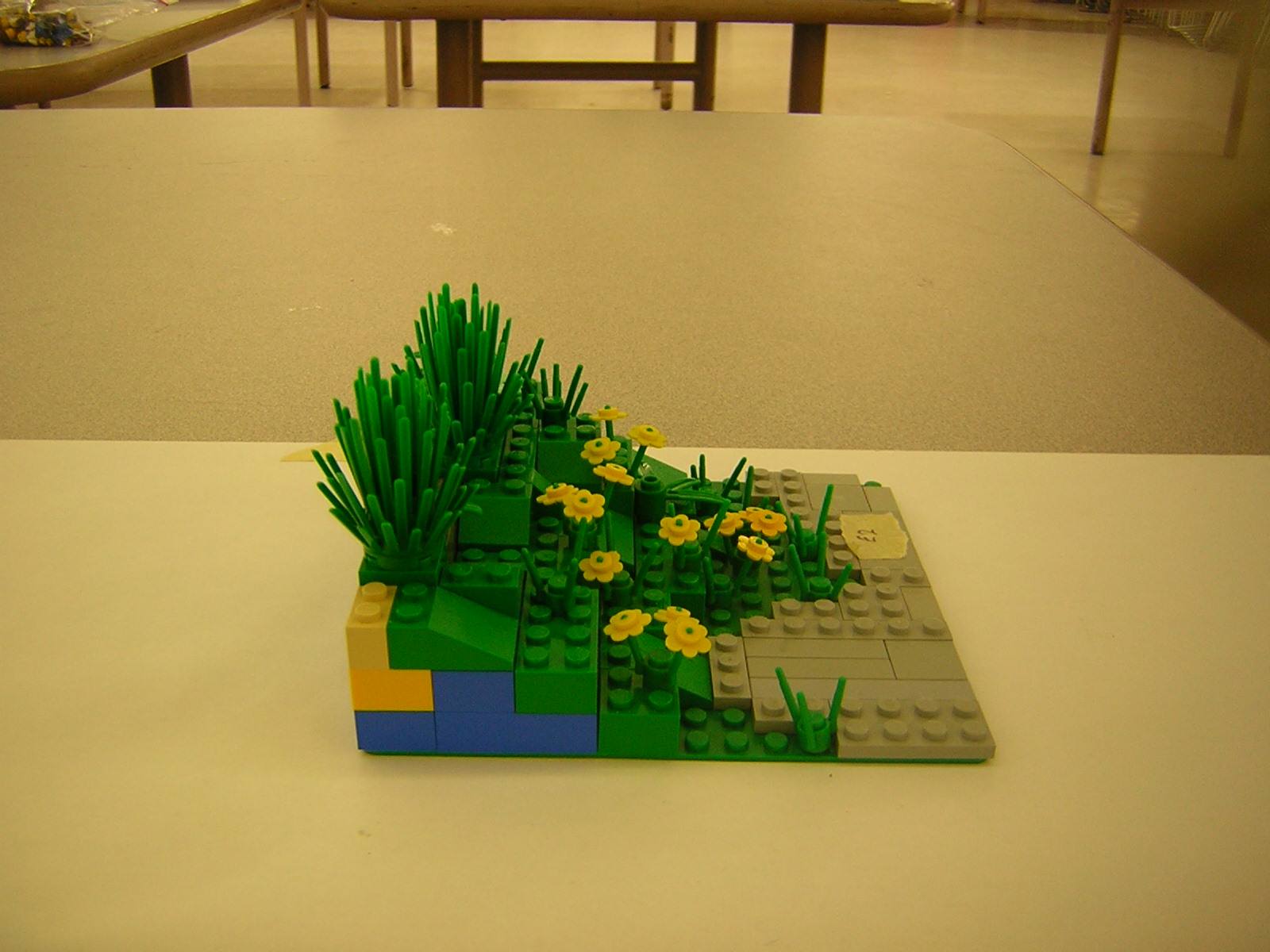 dscn5076.jpg