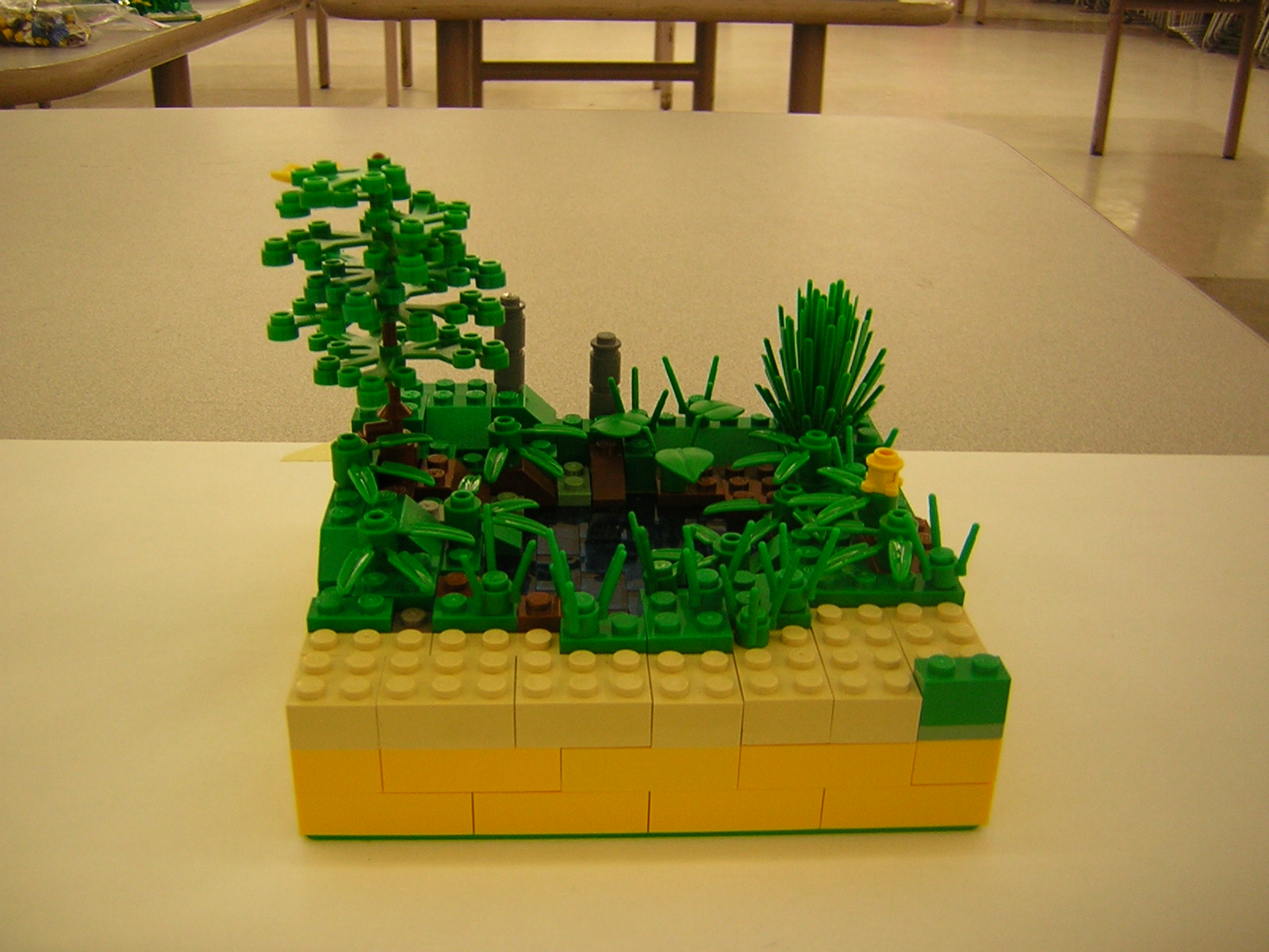 dscn5077.jpg