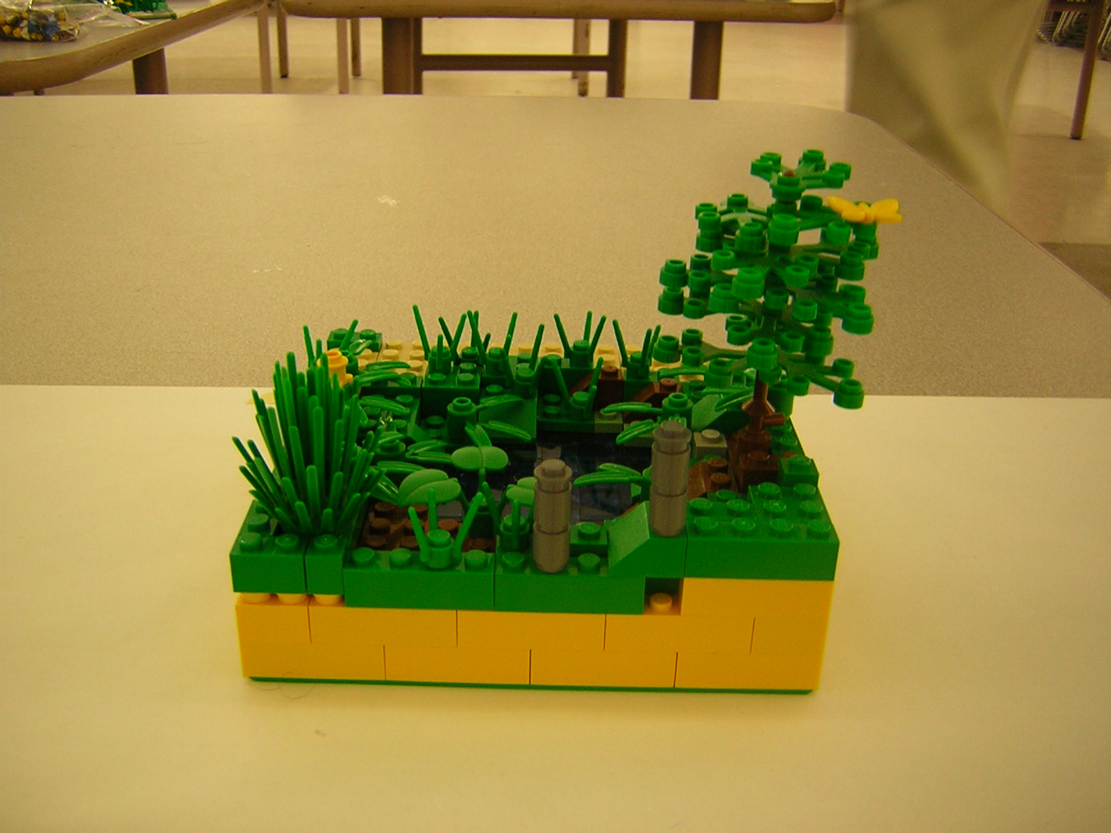 dscn5079.jpg