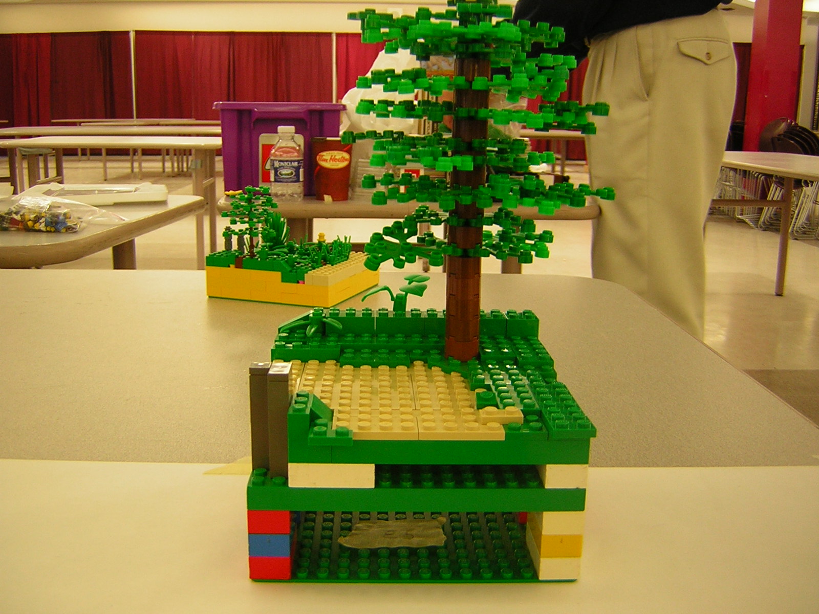 dscn5085.jpg