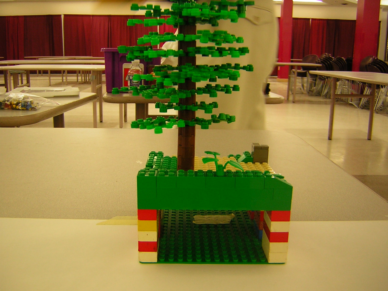 dscn5088.jpg