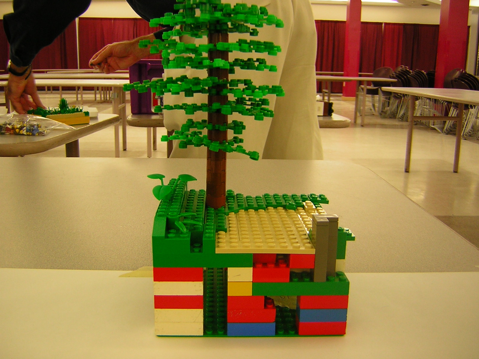 dscn5089.jpg