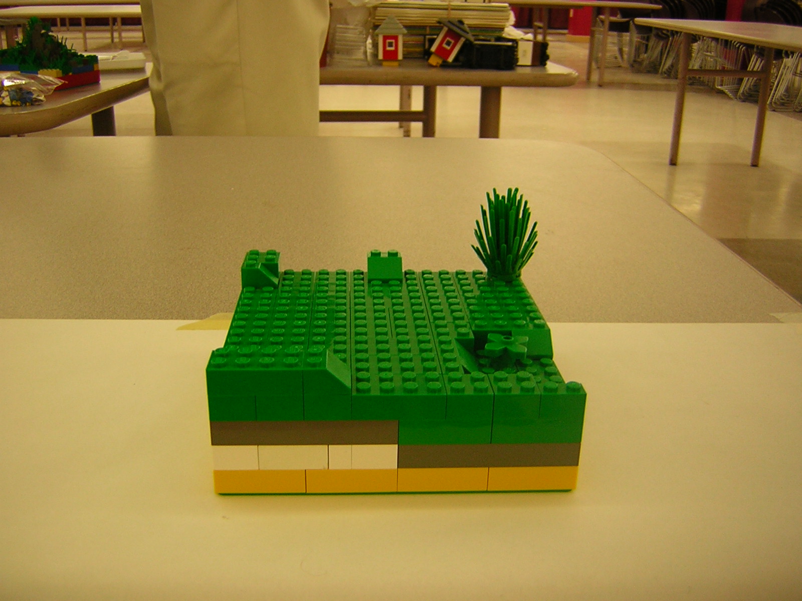 dscn5103.jpg