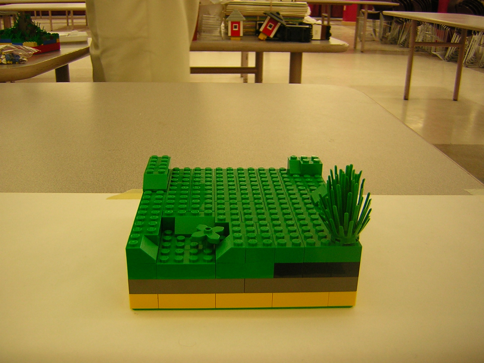 dscn5104.jpg