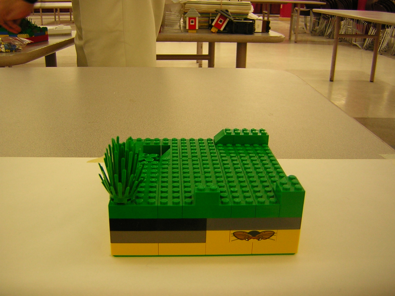 dscn5105.jpg