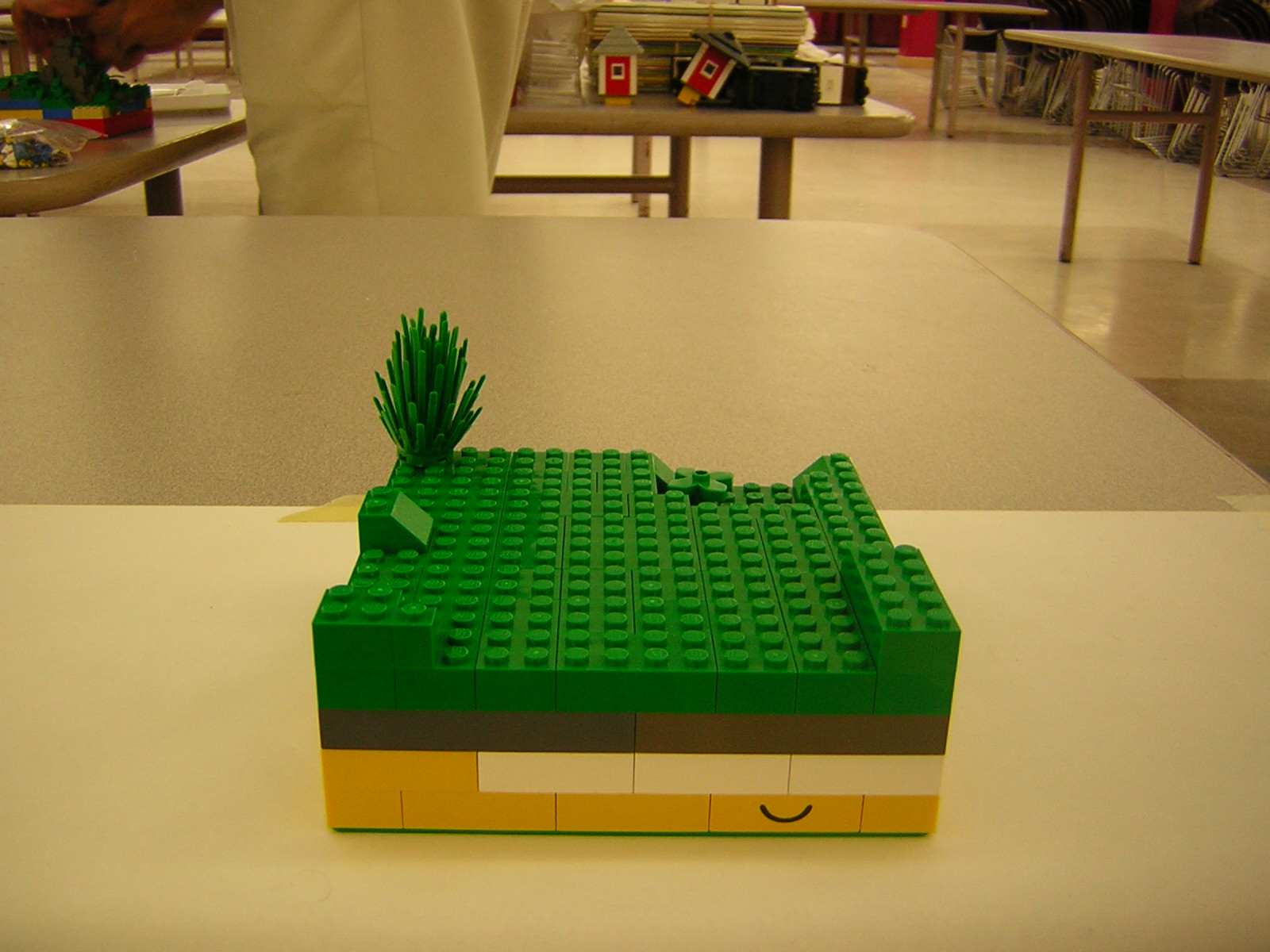 dscn5106.jpg