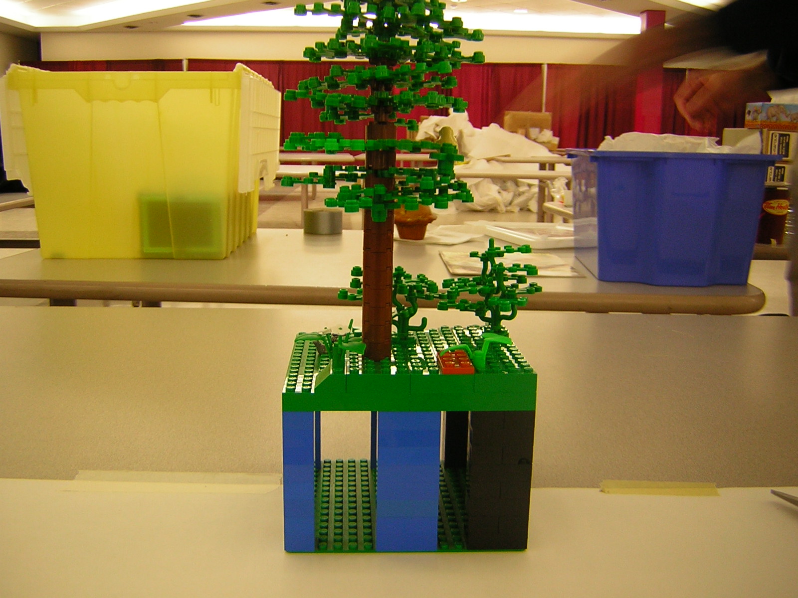 dscn5112.jpg
