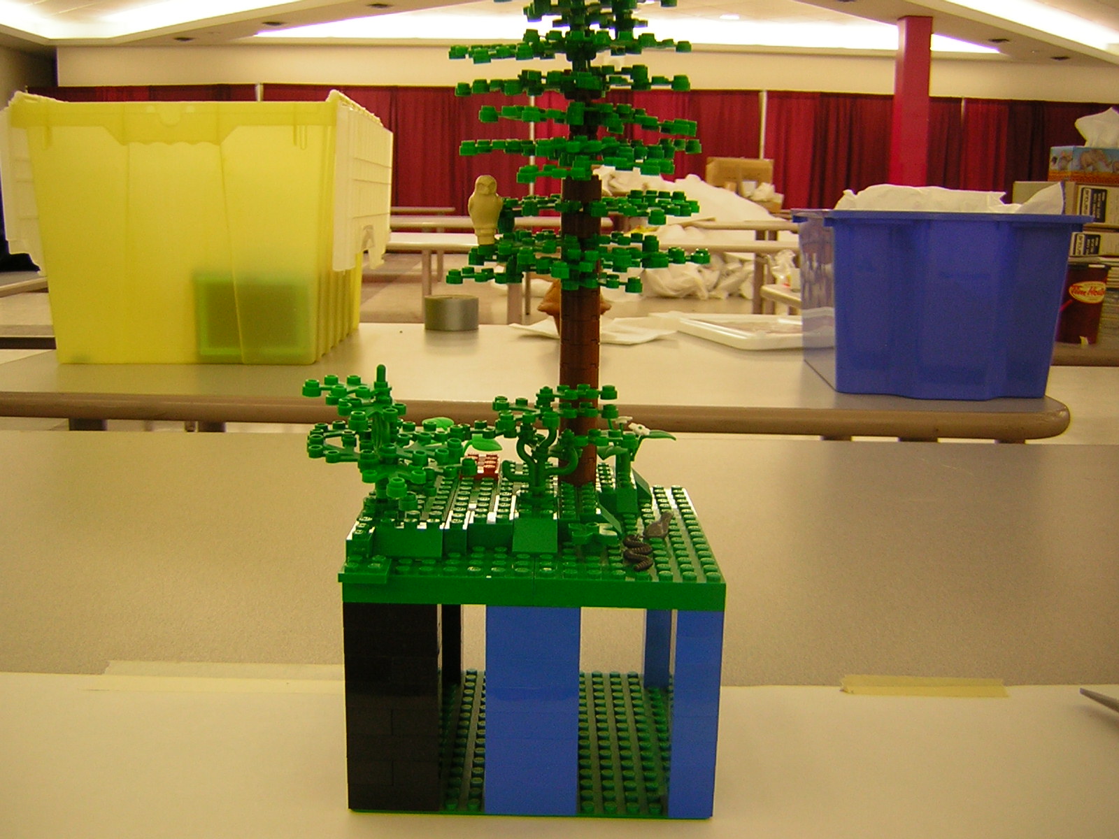 dscn5114.jpg