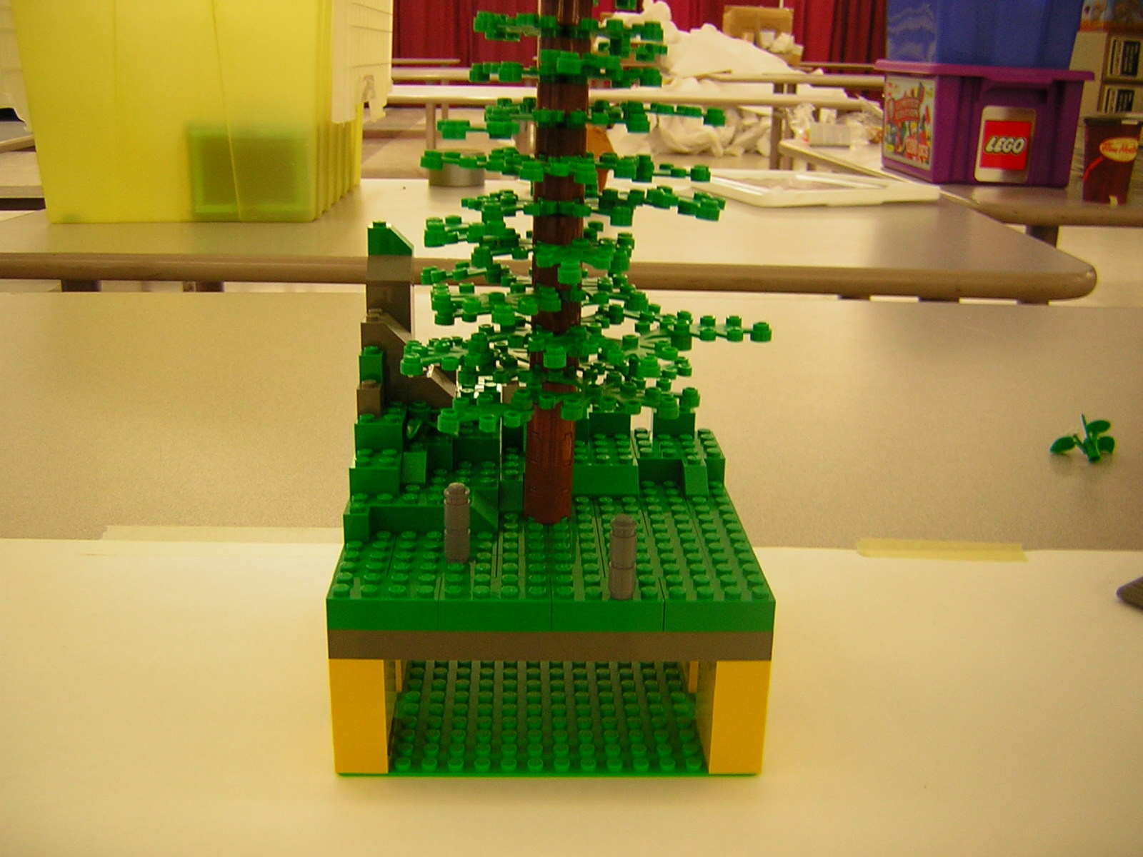 dscn5120.jpg