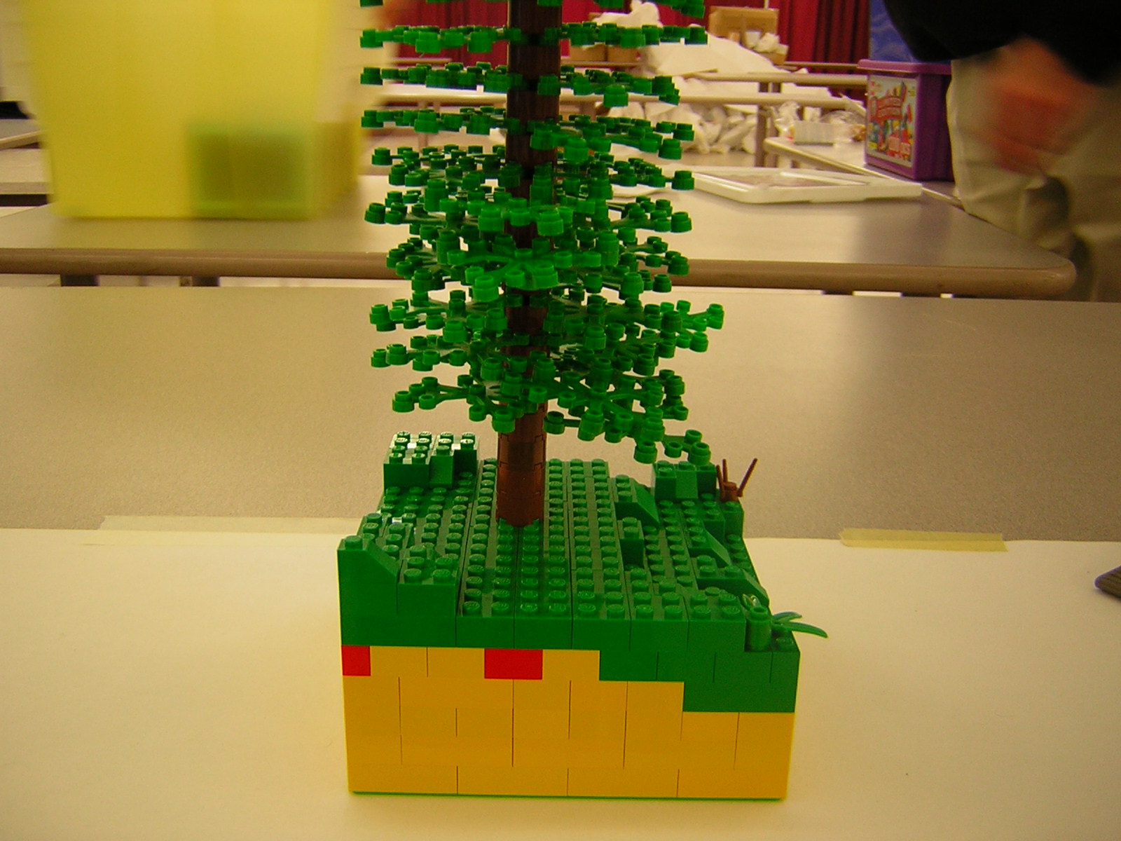 dscn5123.jpg