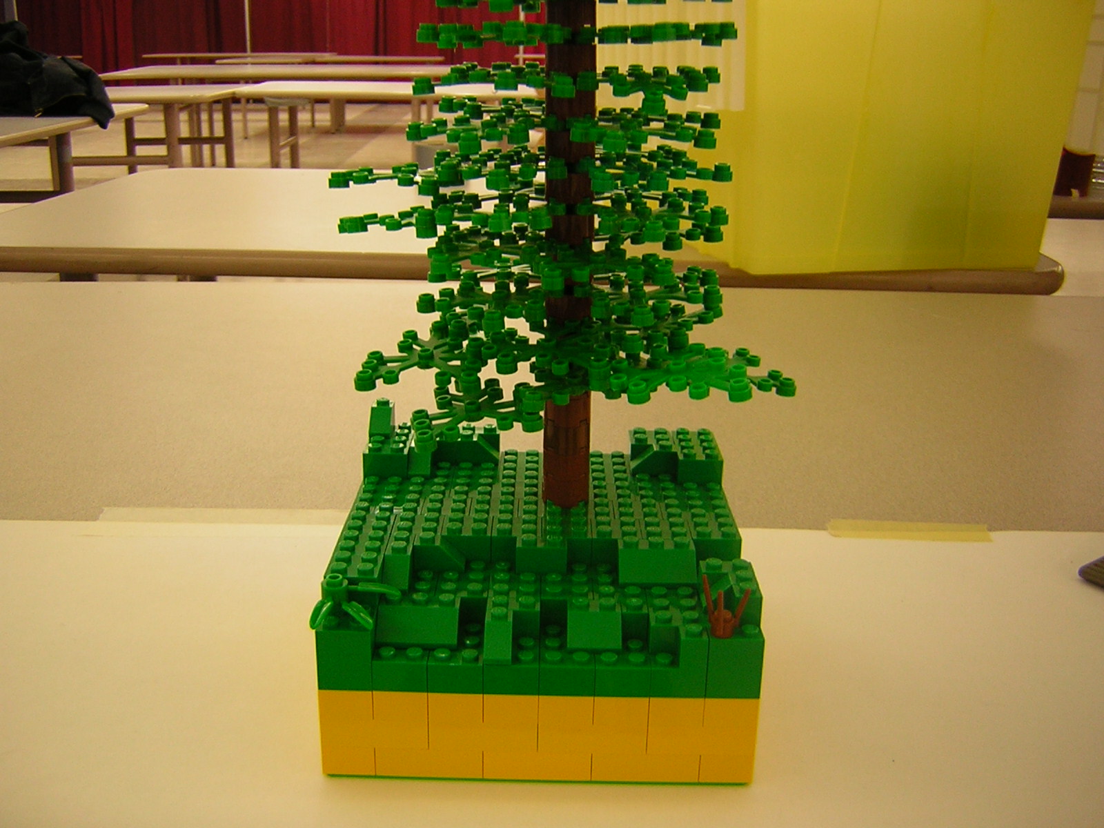 dscn5124.jpg