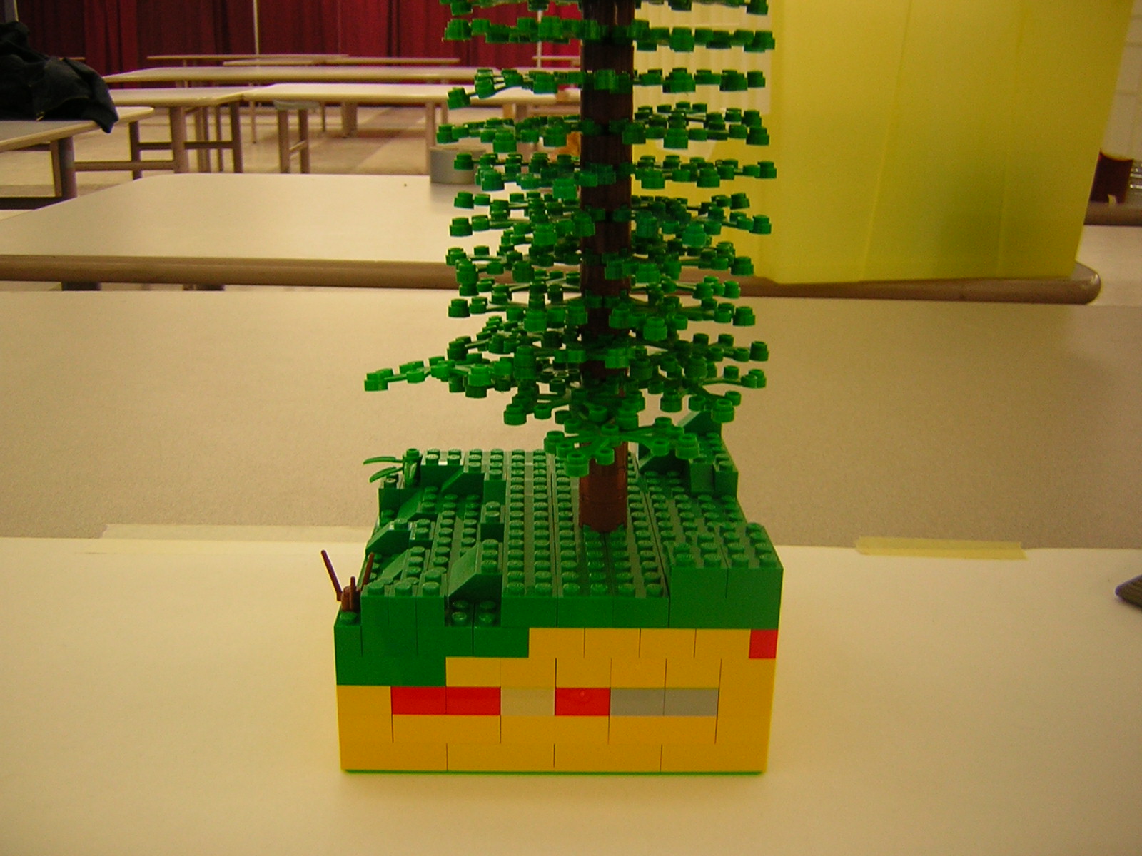 dscn5125.jpg