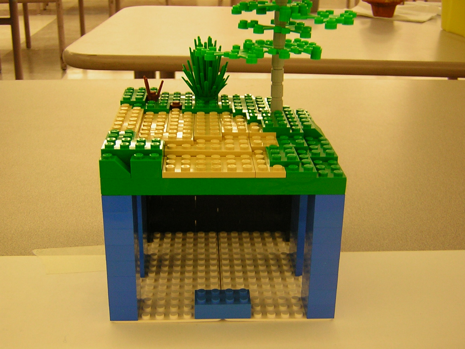 dscn5131.jpg