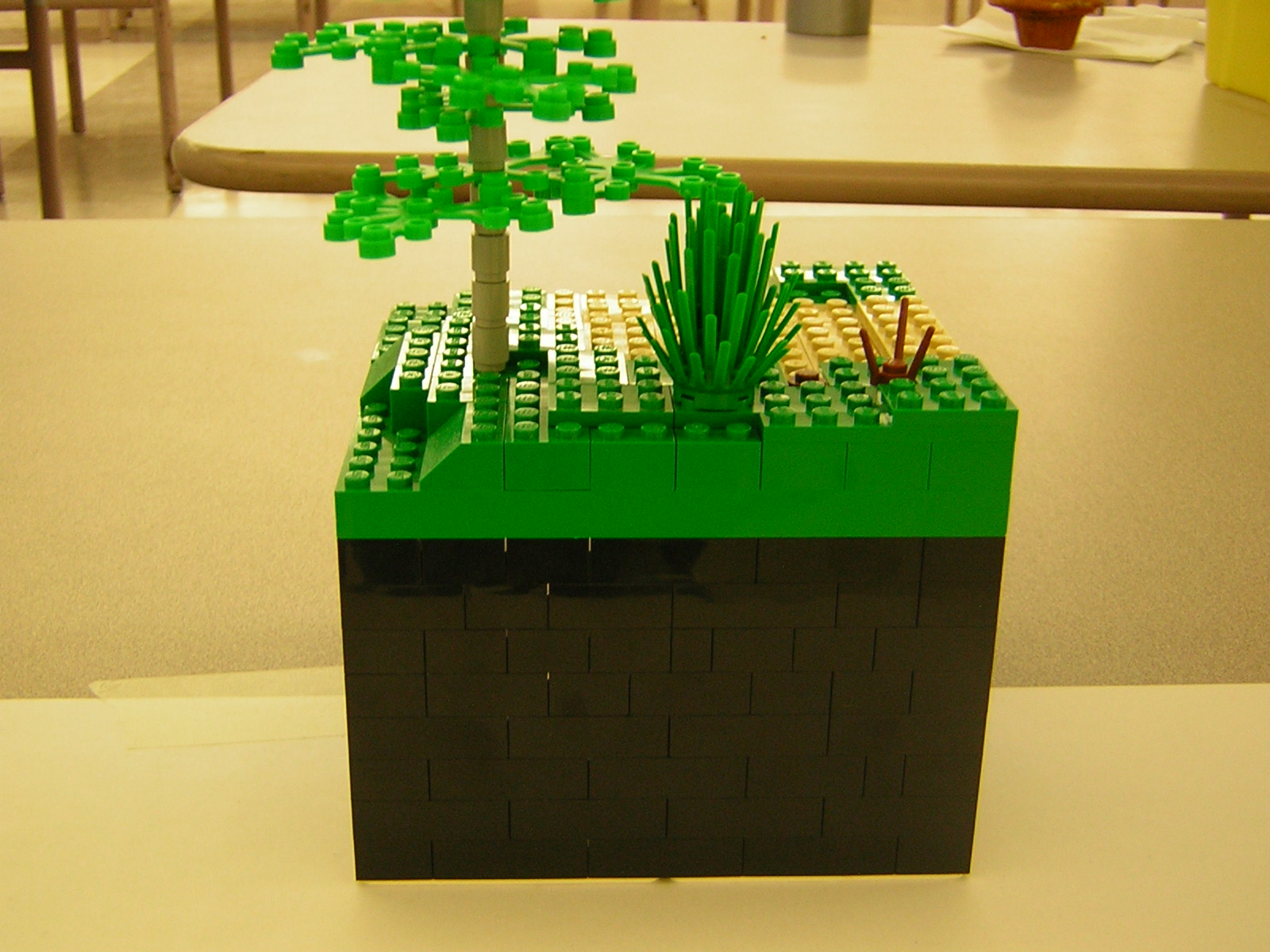 dscn5133.jpg