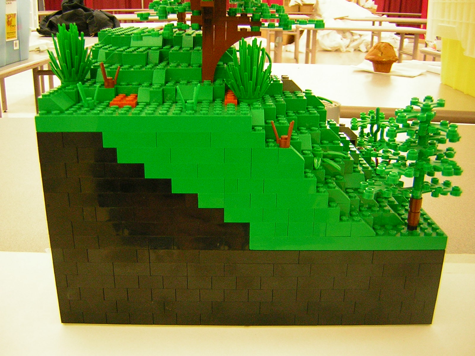 dscn5138.jpg