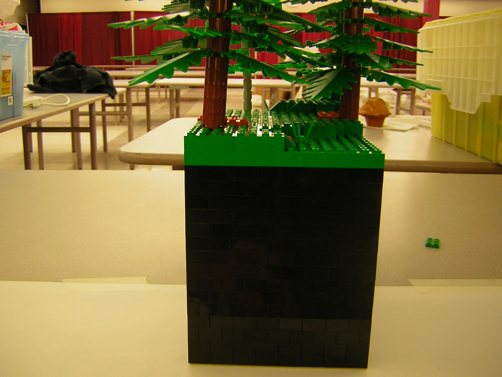 dscn5142.jpg