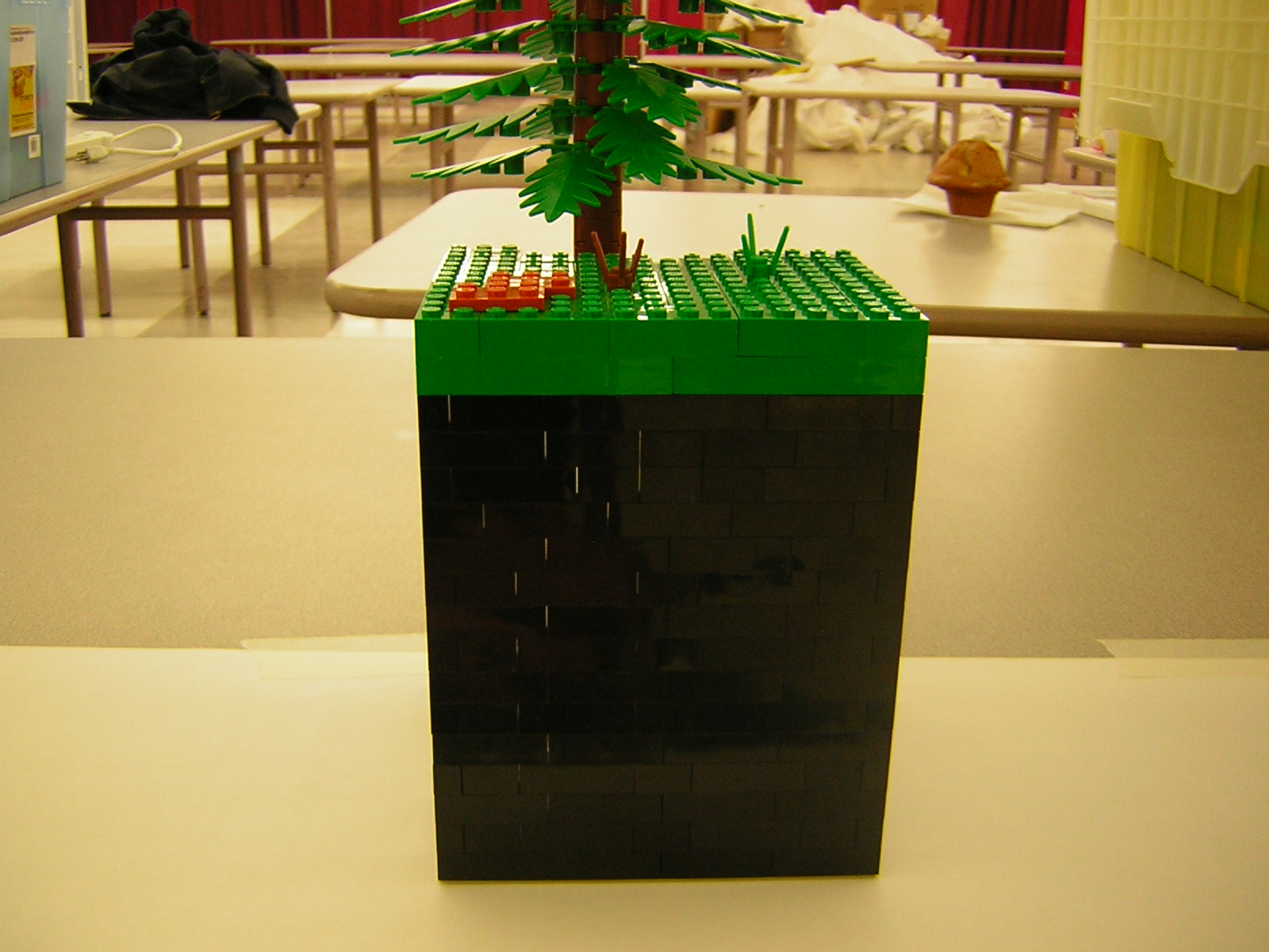 dscn5150.jpg